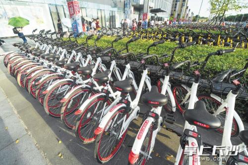 昨日下午，在開(kāi)福區(qū)萬(wàn)達(dá)廣場(chǎng)，成片的共享單車停放在廣場(chǎng)前坪。 長(zhǎng)沙晚報(bào)記者 黃啟晴 攝
