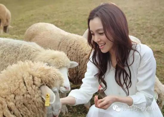 明星旅行糗事一籮筐 總有一個萌到你！
