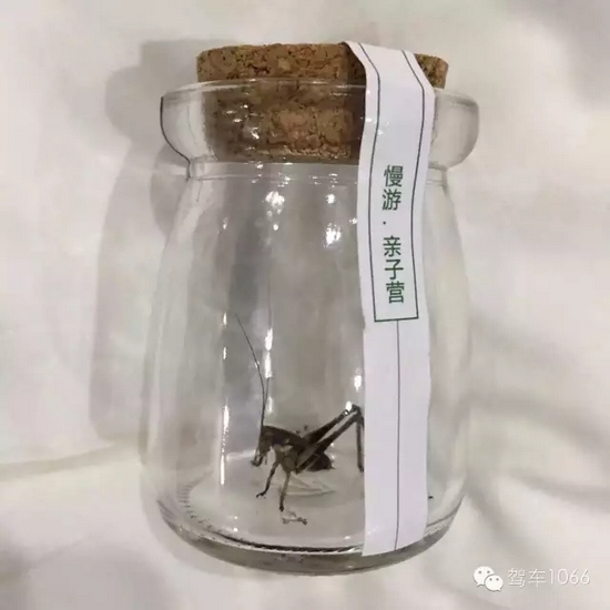 看看我的成果吧！