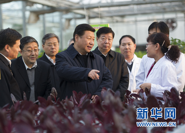  27日下午，習(xí)近平在山東省農(nóng)業(yè)科學(xué)院智能化溫室了解農(nóng)業(yè)科技創(chuàng)新情況。