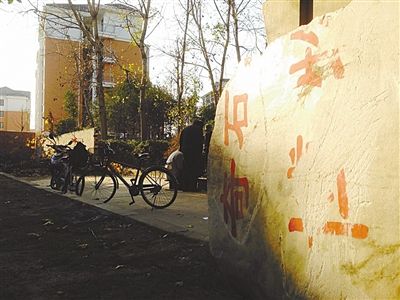 昨日，“上海奇石盆景博物館”原址上，已矗立起小區(qū)樓盤(pán)，而刻著博物館名的巨石，廢棄在一旁。本版圖片/新京報(bào)記者 張永生 攝