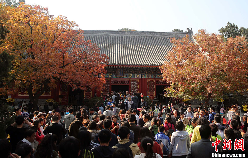 　10月26日，北京香山公園內(nèi)游客摩肩接踵。
