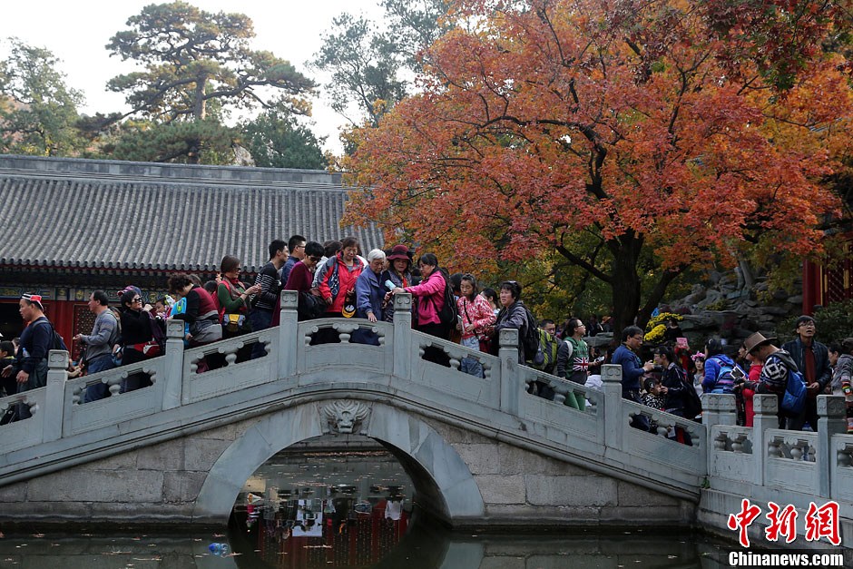 　10月26日，北京香山公園內(nèi)游客摩肩接踵。