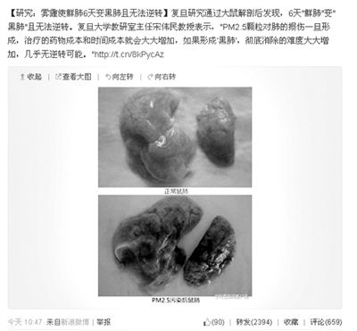 昨天，一則“霧霾使鮮肺6天變黑肺”的新聞在網(wǎng)上引發(fā)熱議。網(wǎng)絡截圖