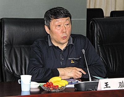 國家能源局新能源和可再生能源司司長王駿。