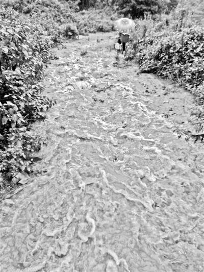 梅子回家的山道，晴天是路，雨天是河