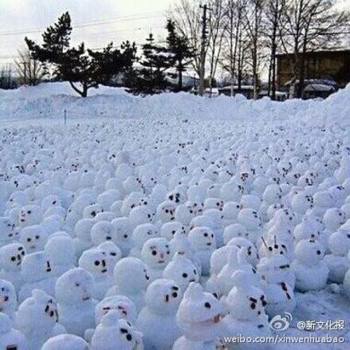 網(wǎng)傳“煙臺(tái)男子大學(xué)生堆1314個(gè)雪人表白”。微博圖