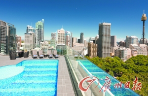 酒店屋頂游泳池俯瞰公園美景。