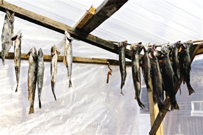 長白山腳下一家小餐館內(nèi)晾曬的冷水魚。