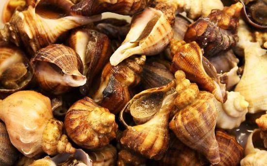 秋季最適合吃的海鮮是這10種 你吃對了嗎？