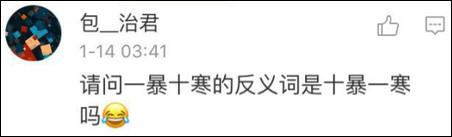 鶴立雞群？雞立鶴群！