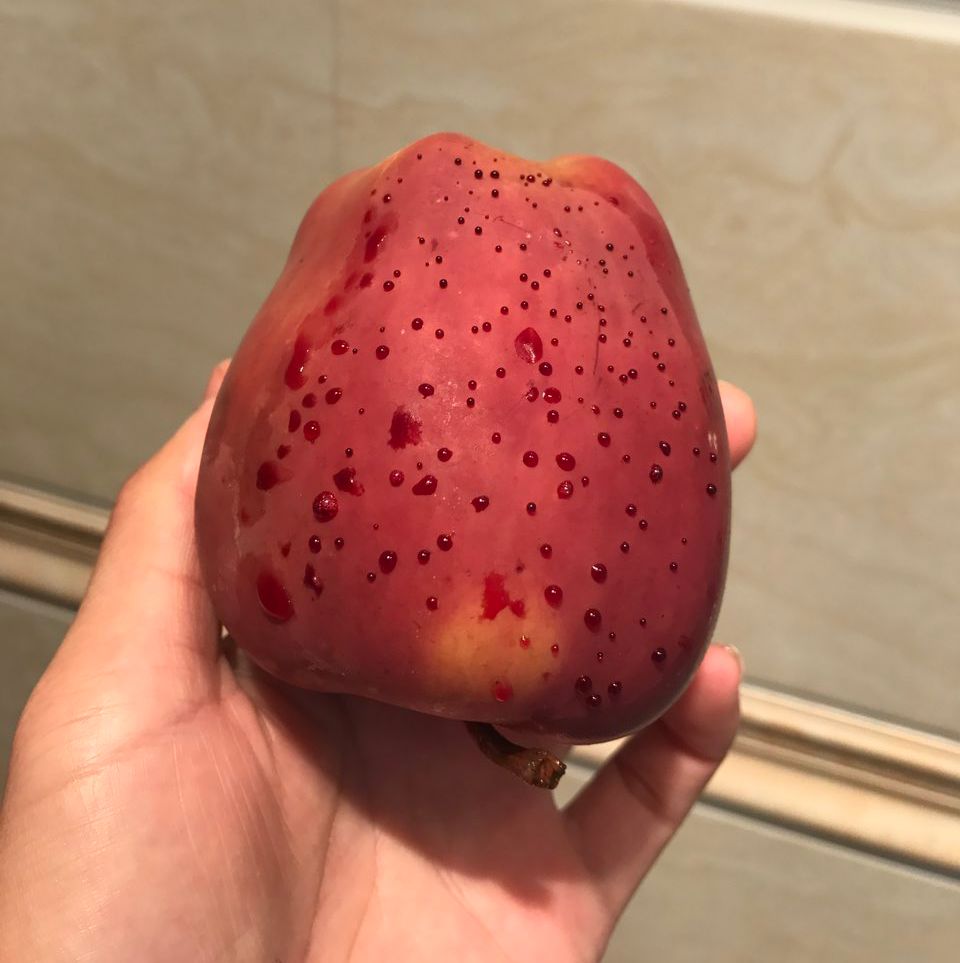 嚇懵！女子用熱水泡蘋果結(jié)果冒出血珠 咋回事？