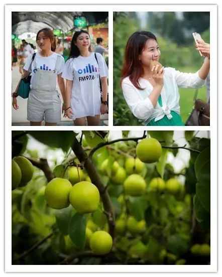 美女與香梨，你更愛哪一個？！
