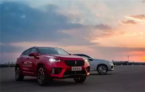 去年“蹦”出來的新汽車品牌們，現(xiàn)在活得怎么樣了？