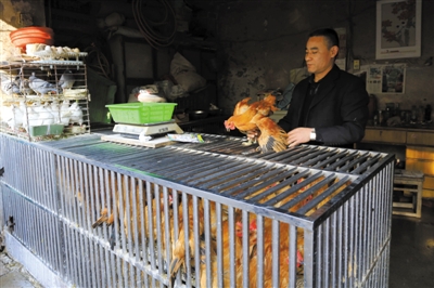 南京另一家農(nóng)貿(mào)市場內(nèi)待售的活雞。因南京出現(xiàn)H7N9禽流病例，買活雞的顧客減少。