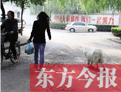 啟明一巷內(nèi)，一名女子帶著狗狗去買菜。狗隨地大小便，狗的主人未制止
