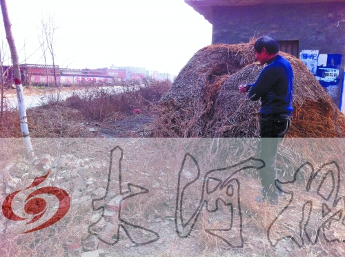 張哥、張弟就是在這兒撿到的投毒面包。