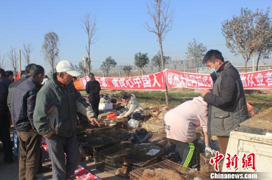 圖為百余名愛狗人士把老李的貨車攔截，數(shù)十人正在從貨車上卸下裝滿狗的鐵籠?！●R義恒　攝