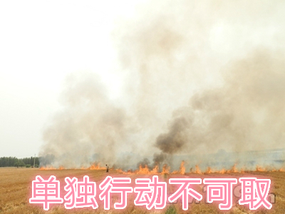 不要單獨一個人亂沖亂打：單獨行動被煙氣沖昏倒地，無人發(fā)覺被燒；