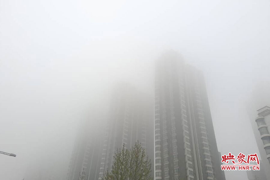 鄭州現(xiàn)大霧天氣，宛若仙境