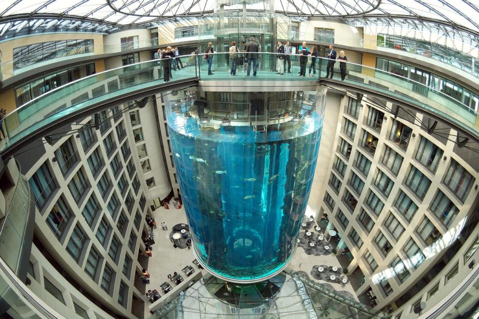 在圓柱水族館主體下方，還有一些別的展館。