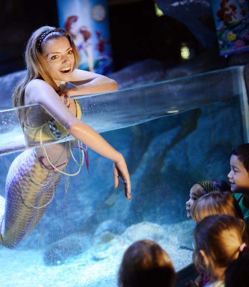 德國女演員安妮·門登在水族館里客串了一把“美人魚”，順便為她的電影《小美人魚》做宣傳。