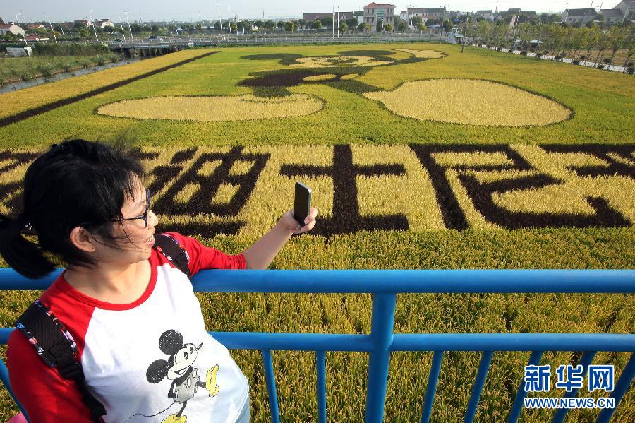 10月25日，游客在觀景臺(tái)上觀賞“米老鼠”稻田畫(huà)。