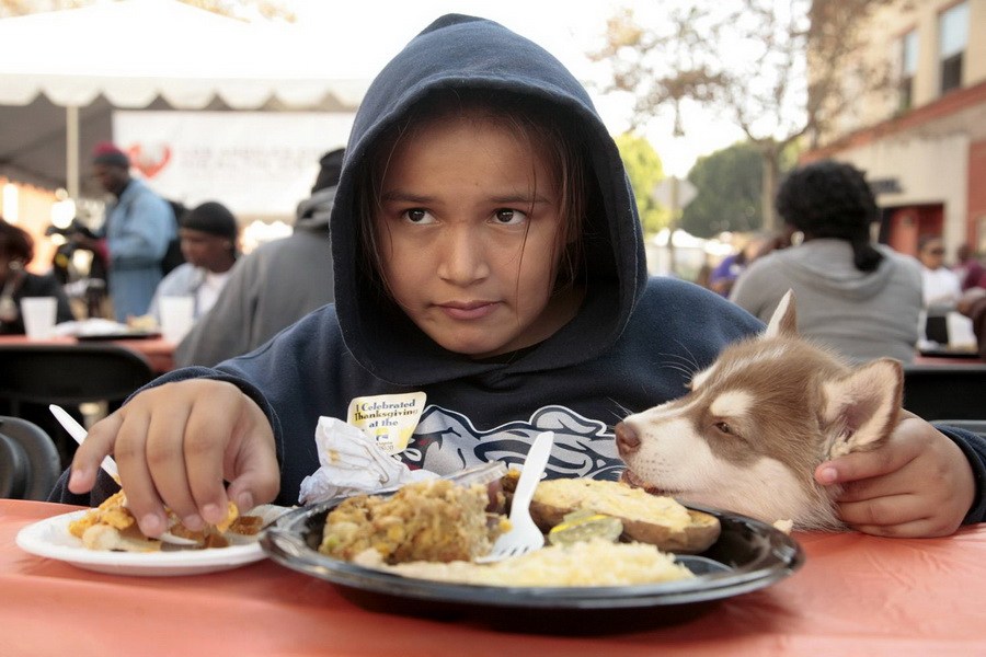 11月21日，加州洛杉磯的游民巷，12歲的堂娜·赫南德茲抱著愛犬“湯米”，安靜地吃著免費的感恩節(jié)飯菜