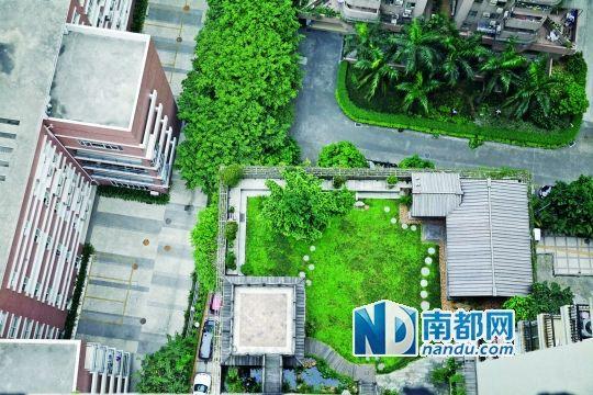 中旅商務(wù)大廈的“空中花園”。