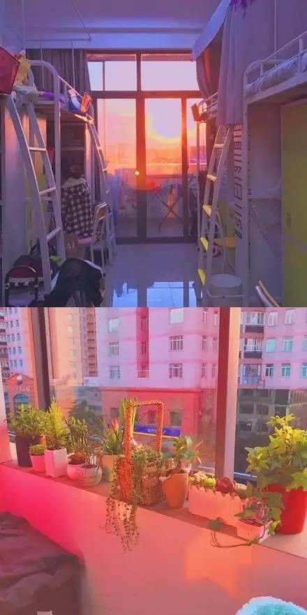 這個(gè)學(xué)校的男生宿舍火了！女同學(xué)都喊著要嫁