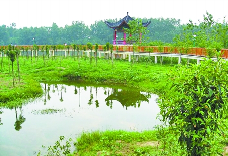 濕地公園定期向中小學(xué)生免費(fèi)開(kāi)放