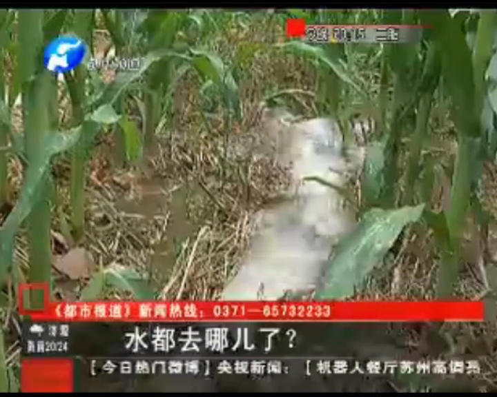 水都去哪了？