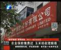 農業(yè)保險繳費遲 玉米絕收理賠難