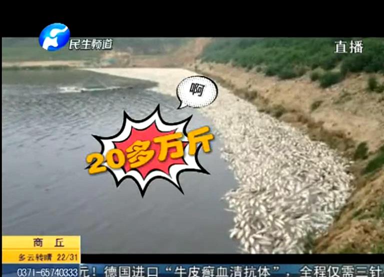 20萬斤魚翻肚因缺氧？