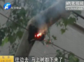 一場風(fēng)雨后 積水又斷電