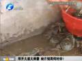 鄭開大道大閘蟹 缺斤短兩何時休？