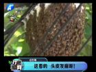 這看的 頭皮發(fā)麻呀！-打漁曬網(wǎng)