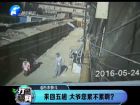 來回五趟 大爺您累不累??？-打漁曬網(wǎng)
